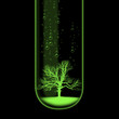 Tree in test tube illustration