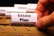 real estate plan