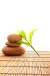 spa still life
