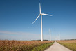 Wind turbines and gravel road