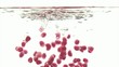 GranatApfel 11 (15)