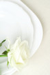 Elegant tableware with rose. Still life. Elegant tableware with rose. Still life.