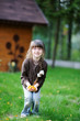 Adorable little girl plays with yellow leaves near the house Adorable little girl plays with yellow leaves near the house