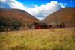 Two Barns in the Meadows of the Catskill Mountains