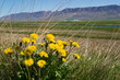 Icelandic landscape Icelandic landscape