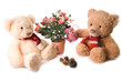 teddies in the garden