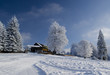 Beautiful winter landscape with chalet
