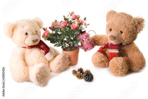 Photo: teddies in the garden teddies in the garden