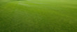 grass texture