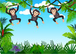 Chimpanzee in the jungle Chimpanzee in the jungle