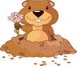Groundhog emerges from his  hole