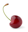 Sweet cherry