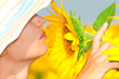 sunflower with beauty  woman hand