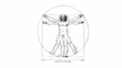 Vitruvian Man (DaVinci) spin swivel on white background