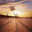 Namib