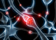 Synapse 1