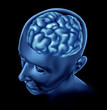 brain lobe sections divisions of mental neurological isolated