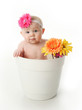 Baby girl in a flower pot