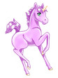 Einhorn Fohlen