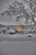 雪の金閣寺