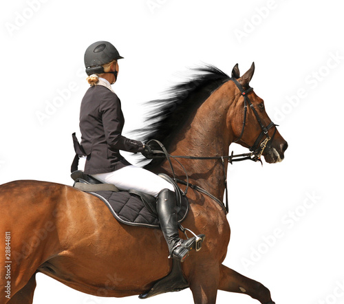 Foto: Show jumping rider isolated on white Show jumping rider isolated on white