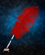 feather pen