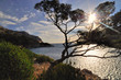 Calanque de Marseille à contre-jour, littoral méditerranéen