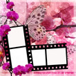 Butterflies and orchids flowers background  with film frame ( 1