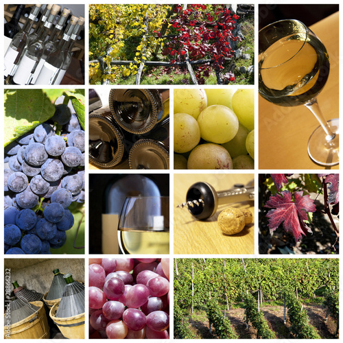 Photo: Wine collage Wine collage