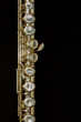 flute