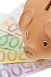 piggy bank savings