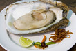 Fresh oyster