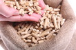 Holzpellets-sparschwein