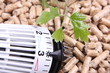 pellets thermostatventil grün