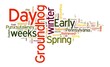 Groundhog Day words on white background