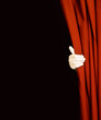 Magician behind curtain