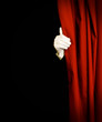 Magic show