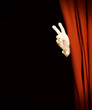 Magic stage curtain