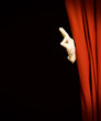 Magical show