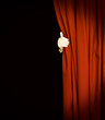 Magic red curtain