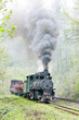 narrow gauge railway, Banovici, Bosnia and Herzegovina
