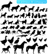 51 animaux de compagnie