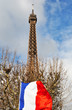 The Eiffel Tower and the french flag, Paris, France