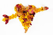 Petal heart. Conceptual. Petal heart. Conceptual.