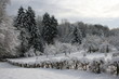 winterlandschaft