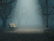 lonely bench in misty park lonely bench in misty park