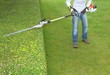 hedge trimming