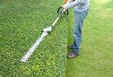hedge trimming