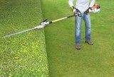 hedge trimming