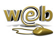 Web Schrift 10